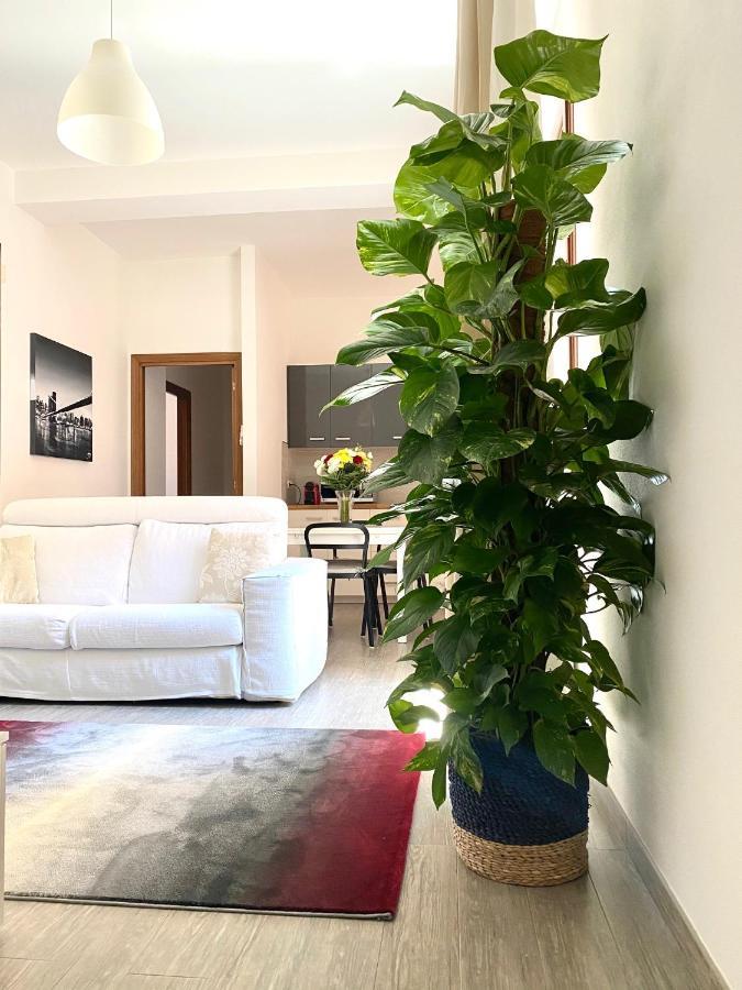 Delonix Regia Olbia Lägenhet Exteriör bild